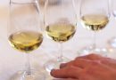 WINE TOWN STELLENBOSCH RETURNS AS WINE ROUTES CELEBRATE 55 YEARS