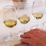WINE TOWN STELLENBOSCH RETURNS AS WINE ROUTES CELEBRATE 55 YEARS