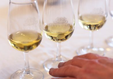 WINE TOWN STELLENBOSCH RETURNS AS WINE ROUTES CELEBRATE 55 YEARS