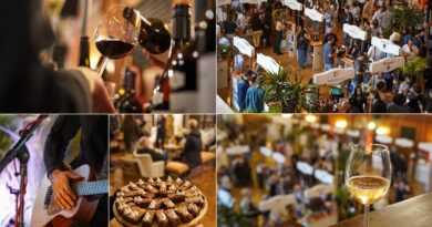 5 Things You Need to Know Before Heading to Wine Town Stellenbosch 🍷