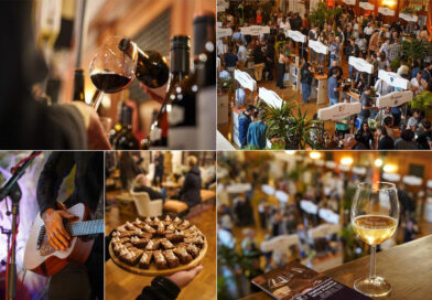 5 Things You Need to Know Before Heading to Wine Town Stellenbosch 🍷